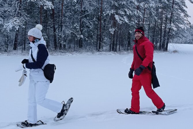Hiking tour in Nuuksio National Park with meal and snacks - Value for the Price: Why This Feels Fair