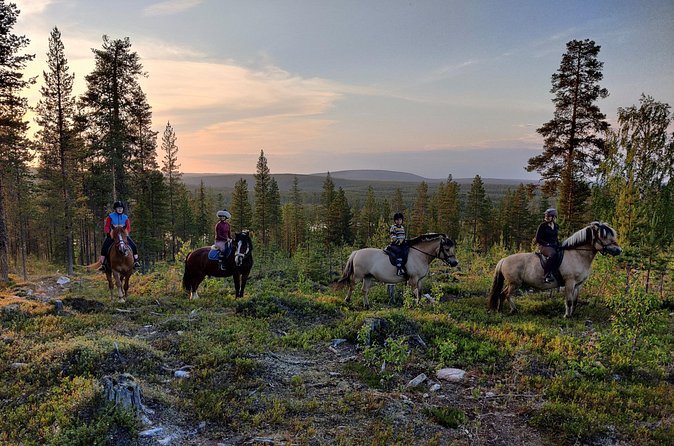 Horse Ride to the Hill Activity - The 2-hour rhythm: stable time, 1 hour on the trail, back to base