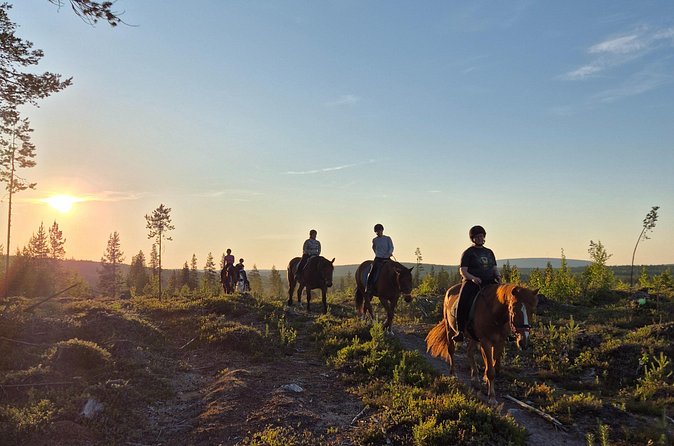 Horse Ride to the Hill Activity - The ride to Laenlammen fell: hills, forest, and lake views