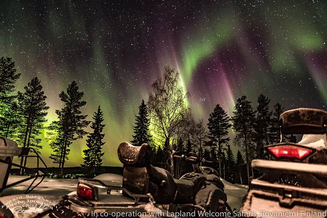 Hunting Northern Lights by Snowmobiles - Price and value: does $202.84 feel fair for an aurora snowmobile safari?