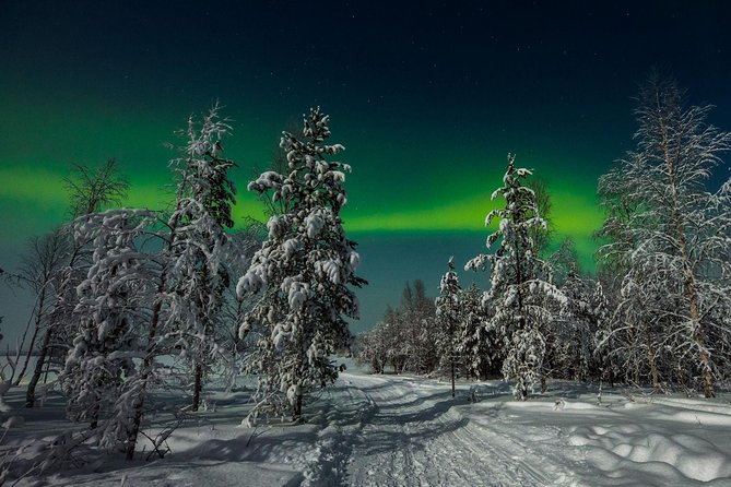 Hunting Northern Lights with Husky - Who should book, and who should skip