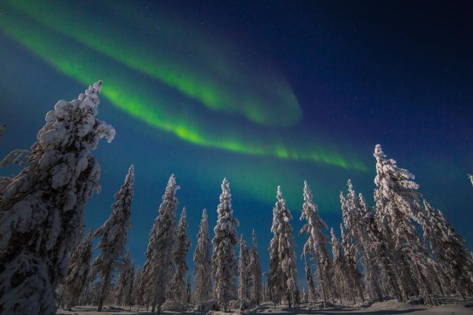 Hunting Northern Lights with Husky - Santa Claus Holiday Village pickup, when to be ready