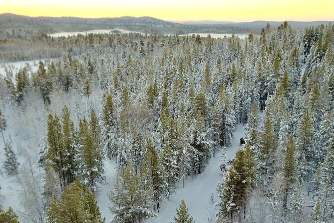 Husky Adventure 10km - The 4-hour flow: overalls, kennel time, mushing basics, then the ride