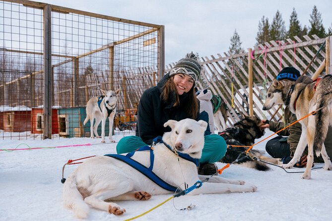 Husky Adventure 10km - Warm up in the kota: juice and cookies after the sled run
