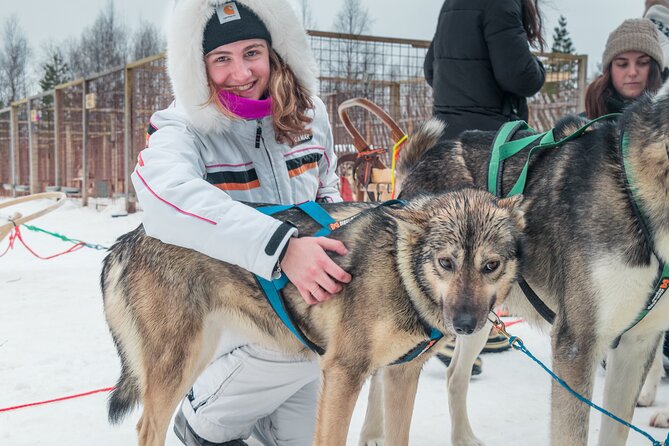 Husky Adventure 10km - Dogs and welfare: puppies on site and a calm, cared-for kennel