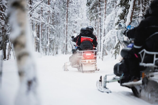 Husky and Reindeer Experience With Snowmobiling - Quick Hits Before You Go