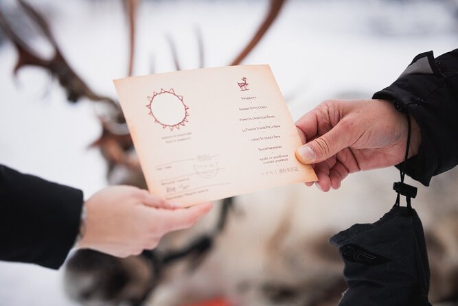 Husky and Reindeer Experience With Snowmobiling - Snowmobile safari across snowy plains: fun, scenic, and not a drag race