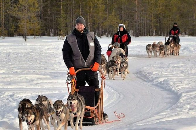 Husky Safari from Levi 2 KM or 5 KM with Husky Sledge Ride - Transportation and Group Size: Why This Feels Low Stress