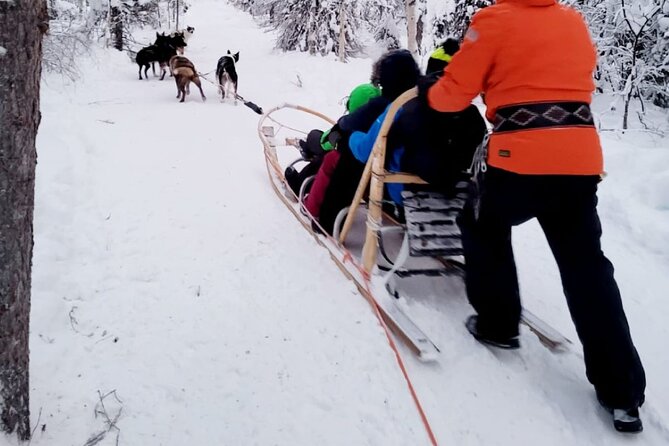 Husky Sledding Ride in Levi 5 KM - After the Ride: Kota Warm-Up, Hot Drinks, Cookies, and Husky Time