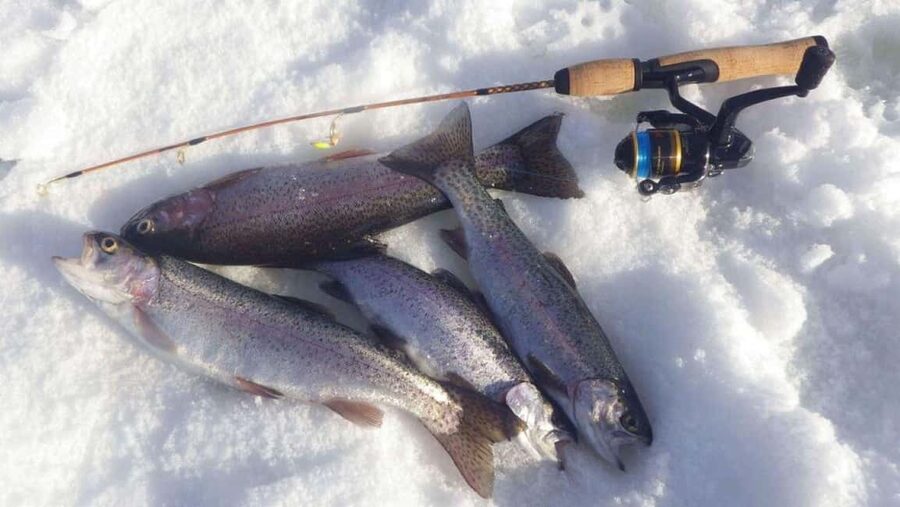 Ice Fishing Adventure in Levi with Salmon Soup - If you catch a fish: cooking on open fire or taking it with you