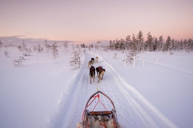 Ice Fishing and Husky - Key things I’d pay attention to
