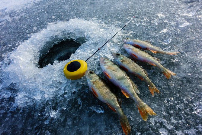Ice Fishing and Husky - Ice fishing on a frozen lake: guided, social, and built for beginners