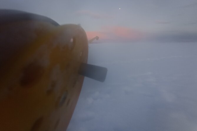 Ice fishing experience with Backpacker Helsinki Tour - The fireside finish: grilled sausages, glögi, and piparri