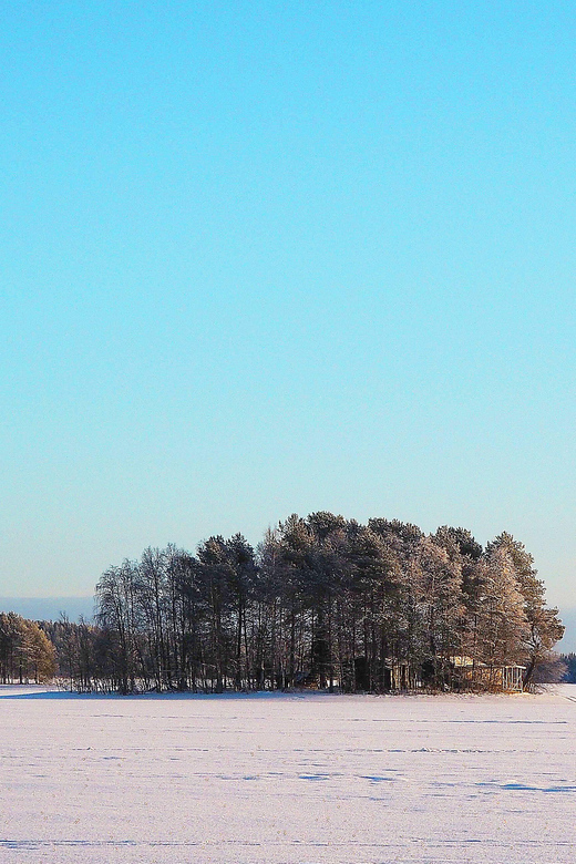 Ice fishing program in Lapland - Photos, free time, and how to enjoy the cold without rushing