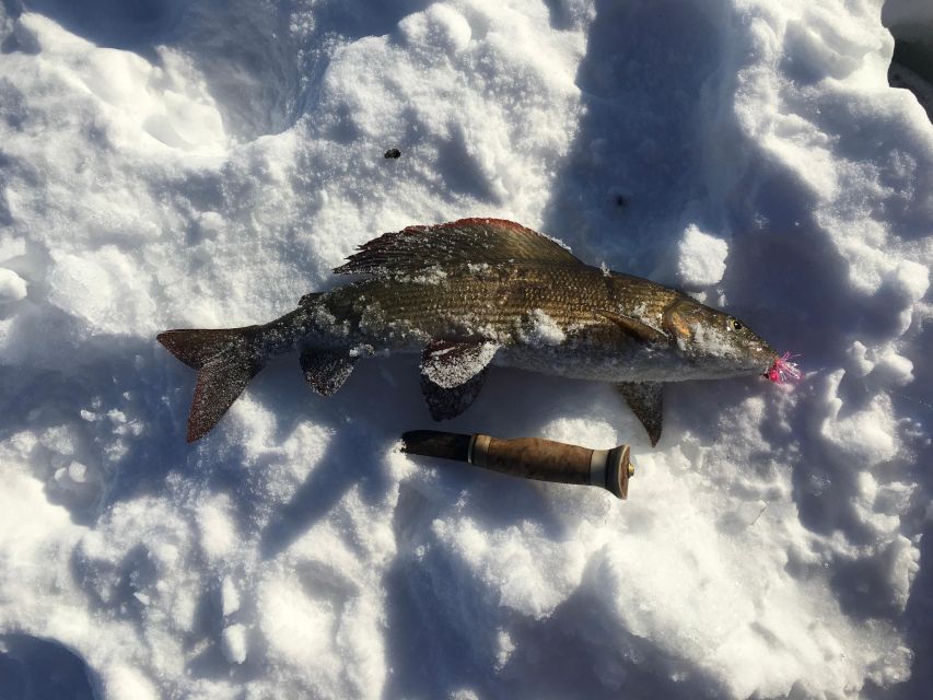 Icefishing and tasting in Lake Inari - What happens at the ice fishing village: drill, fish, and learn how nets work