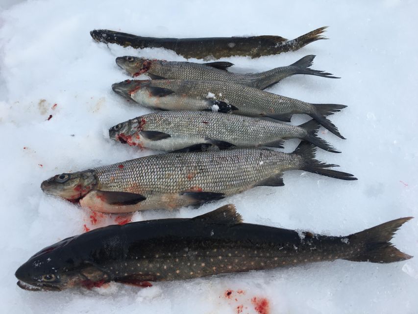 Icefishing and tasting in Lake Inari - What to bring and how to dress so you stay comfortable