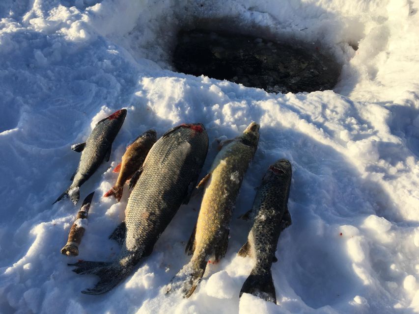 Icefishing and tasting in Lake Inari - Price and value: what you pay for, and what you actually get
