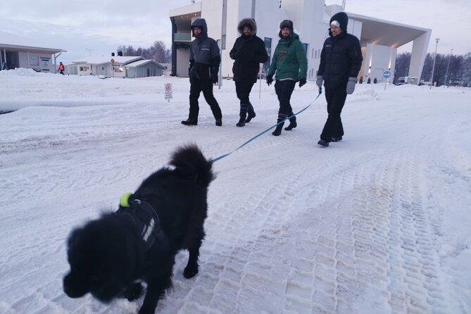 Icetrek to Old Kemi - Price and Value: Is $57 Worth 2.5 Hours?