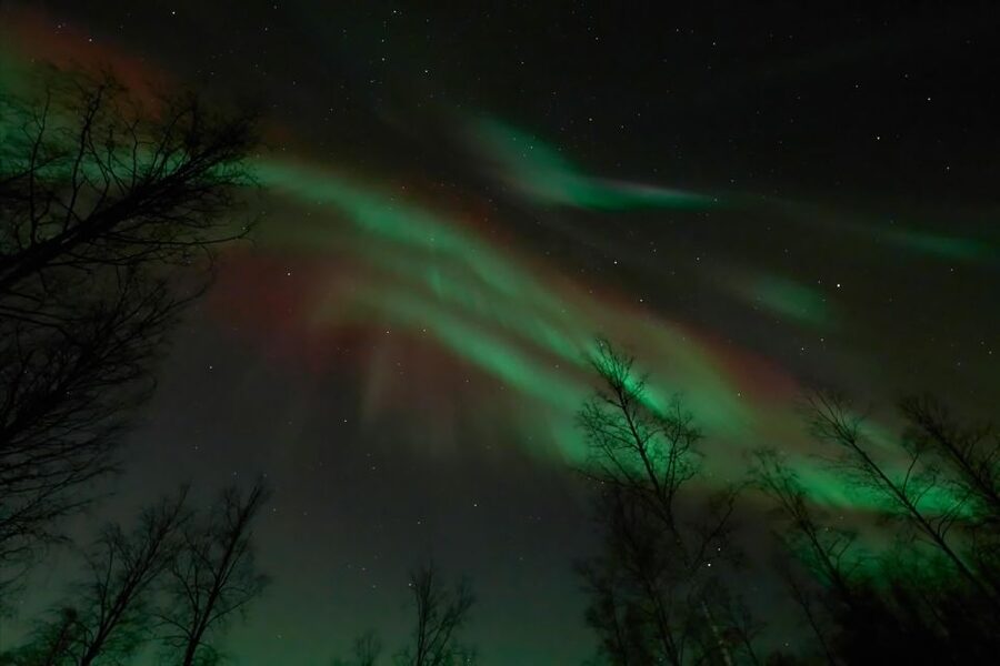 Ii: Snowmobile sleigh trip on frozen sea under starlit sky - Key Things That Make This Trip Worth Your Time