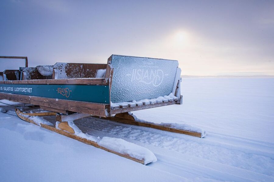 Ii: Snowmobile sleigh trip on frozen sea under starlit sky - From Snowmobile Sleigh to a Walk in Case of Ice