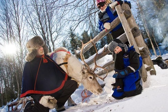In Pursuit of Reindeer - Snowmobile safari to reindeer farm in Rovaniemi - Quick hits before you go