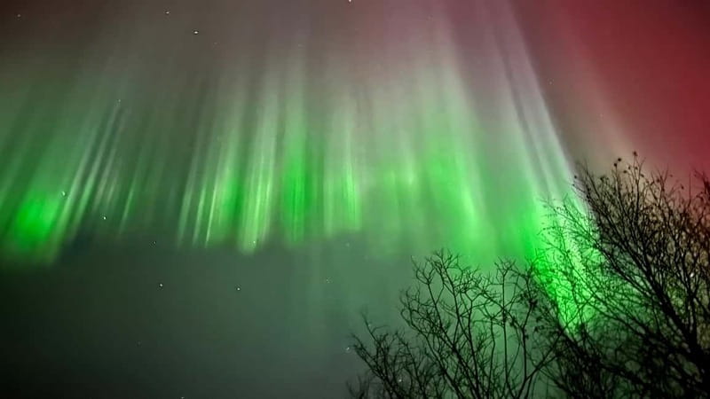 Inari/Ivalo: Aurora Hunting Tour by Car with Warm Drinks - How the 4-hour car safari feels, from the first drive to the last stop