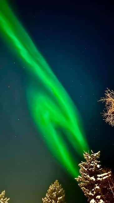 Inari/Ivalo: Aurora Hunting Tour by Car with Warm Drinks - Small group touring: why it changes the experience