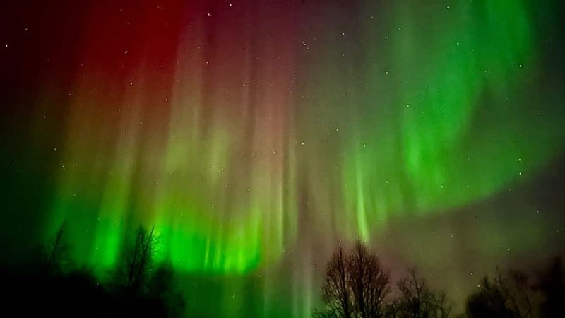 Inari/Ivalo: Aurora Hunting Tour by Car with Warm Drinks - Route planning that actually responds to cloud cover