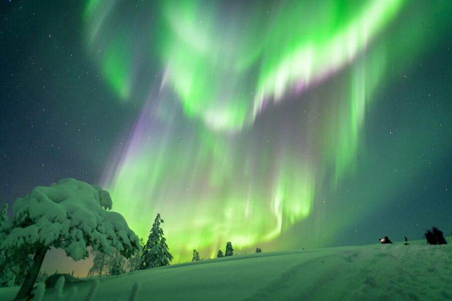 Inari: Northern Lights Hunt Snowmobile Safari - Entering the dark: what this Inari Northern Lights snowmobile hunt is really like