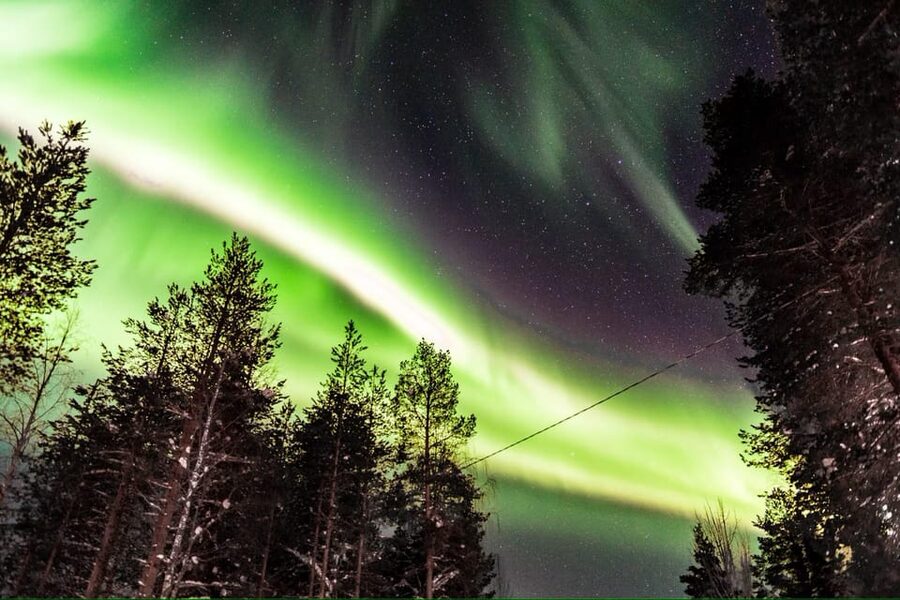 Inari: Northern Lights Hunt Snowmobile Safari - Who this tour suits best, and who should choose something else