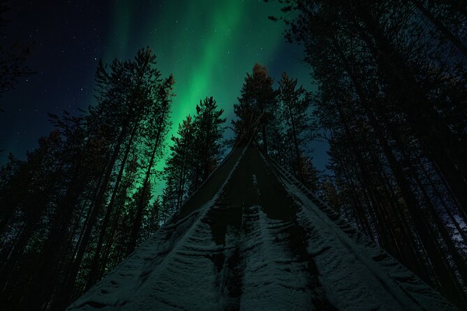 Ivalo: Aurora Hunting with Reindeer - Who This Aurora Hunting With Reindeer Trip Fits Best