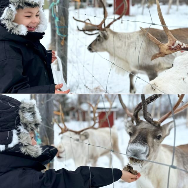 Ivalo: Ice Fishing Tour to Lake Inari, Reindeers & Lunch - The Open-Fire Lunch Moment: Reindeer, Fish, and Vegetarian Options That Actually Matter
