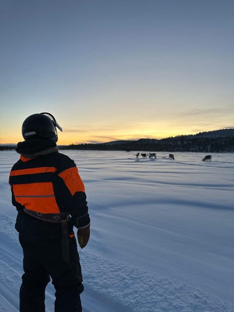 Ivalo: Ice Fishing Tour to Lake Inari, Reindeers & Lunch - Should You Book This Ivalo Ice Fishing and Reindeer Lunch Tour?