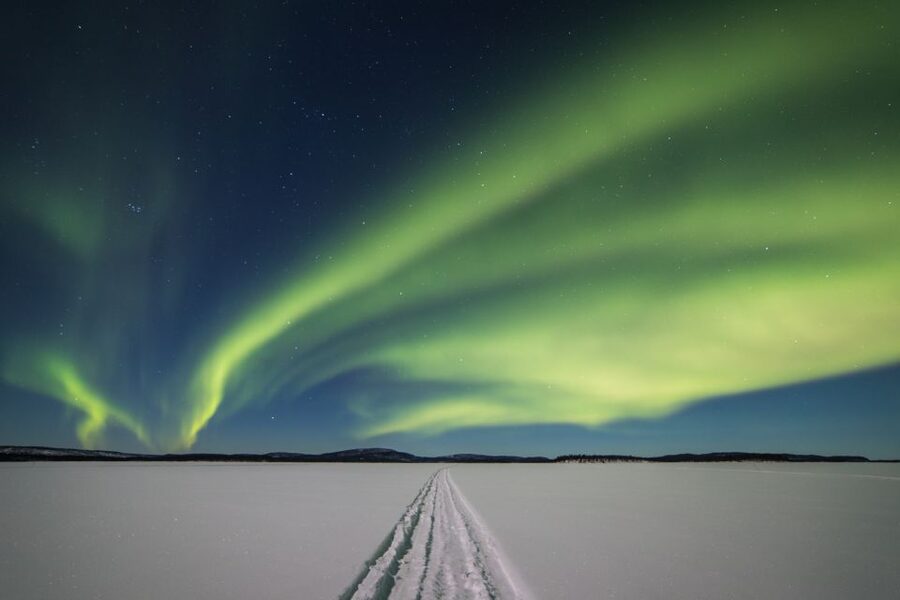 Ivalo: Lake Inari Northern Lights Tour w/ Reindeer & Dinner - Reindeer Up Close, Then Dinner by Open Fire in a Lappish Teepee