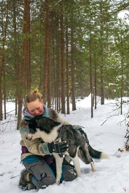 Ivalo - Saariselkä: Husky Walk in the Wilderness - Why This Husky Walk Feels Different Than a Typical Animal Stop