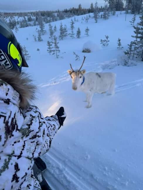 Ivalo: Snowmobile Safari in Hammastunturi Wilderness - Your First Lesson: Frozen Ivalo River Driving Tips