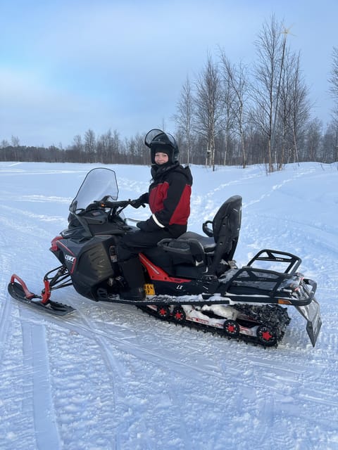 Ivalo: Snowmobile Safari, Meet and Feed Reindeers with Lunch - Price and value: what you are paying for beyond the snowmobile