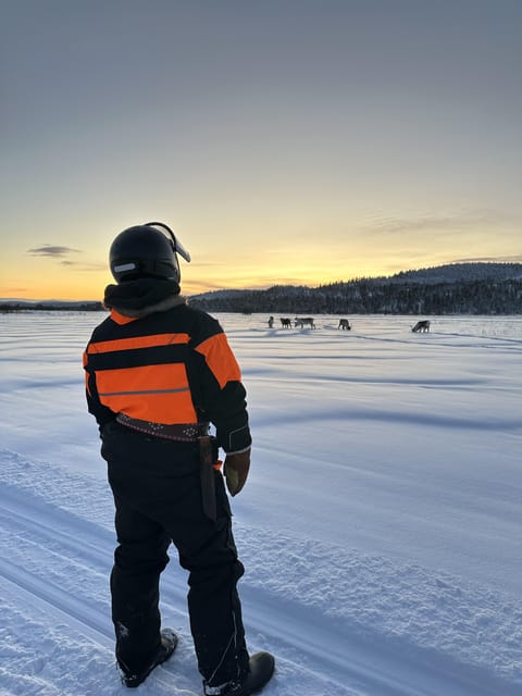 Ivalo: Snowmobile Safari, Meet and Feed Reindeers with Lunch - Small details that can make your day better