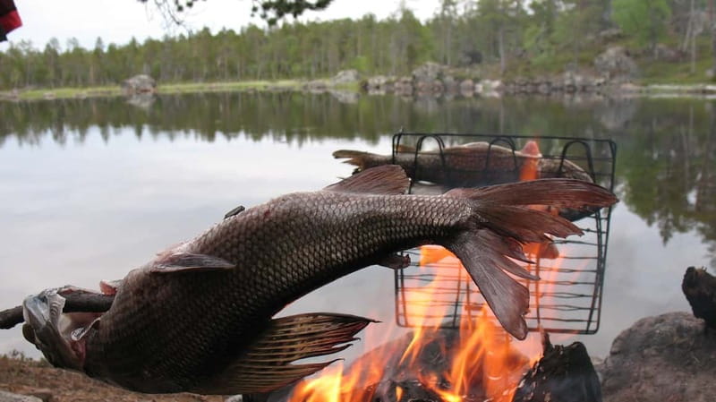 Ivalo: Summer Day/Evening on a Lake in the Wild - Your Host, Mika, and What You Learn About Fishing in Lapland