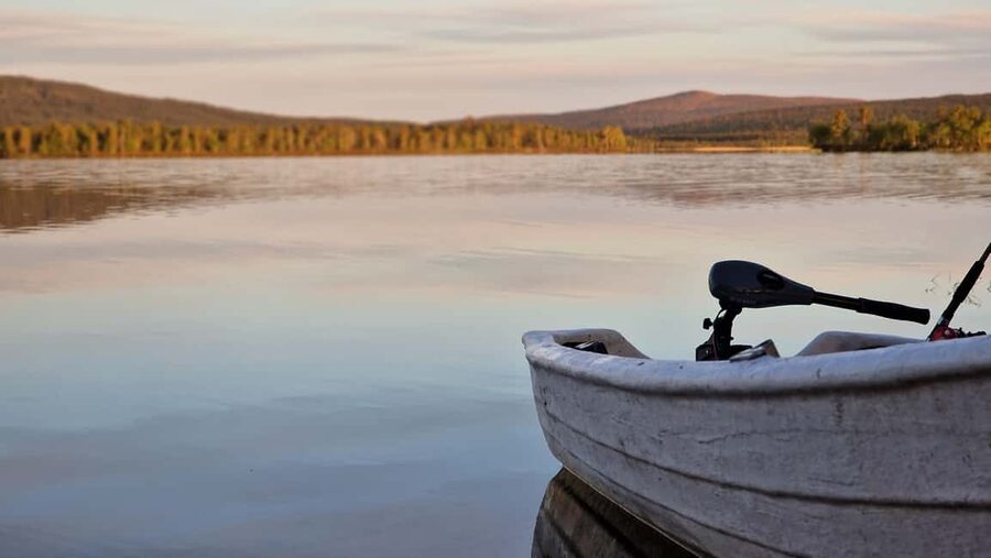 Ivalo: Summer Day/Evening on a Lake in the Wild - Lunch or Dinner in Nature, Including How the Fish Gets Cooked
