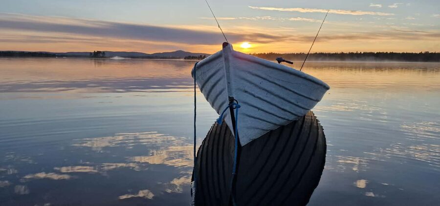 Ivalo: Summer Day/Evening on a Lake in the Wild - Price and Value: Is $347 per Group Worth It?