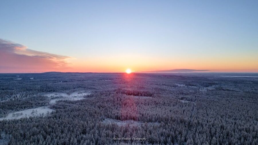 Kemi: Sled Dog Husky Safari Including Hot Drink - Price and Value: Is This Worth $165 or €115?