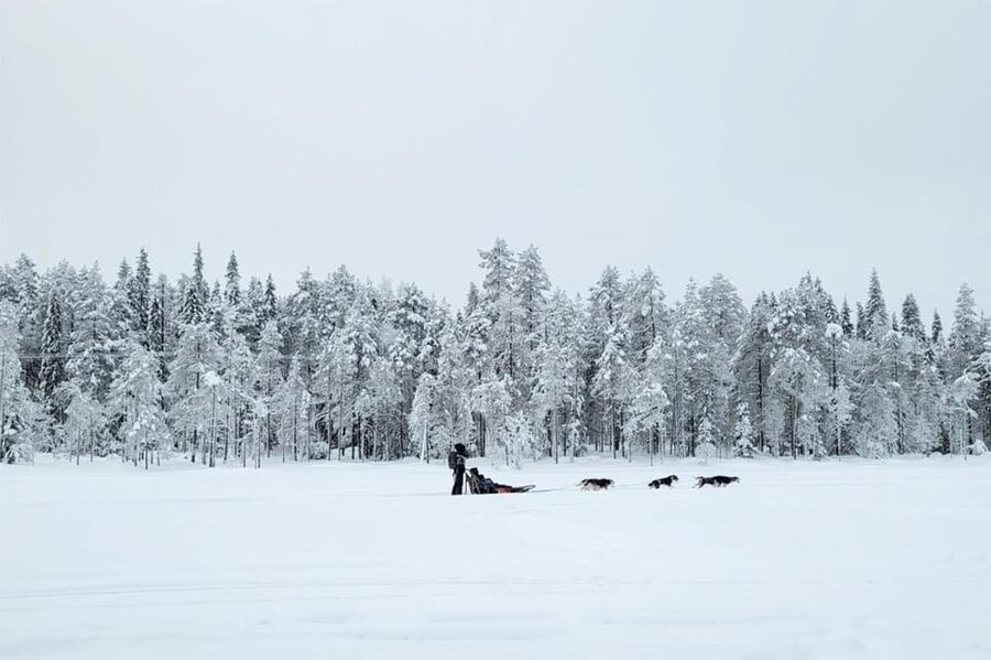 Kemi-Tornio: Husky Sled Ride with Hot Drink - Key Things I’d Put at the Top of Your List