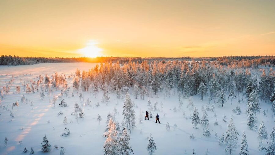 Kemi-Tornio: Nature tour with snowshoes - Key highlights at a glance