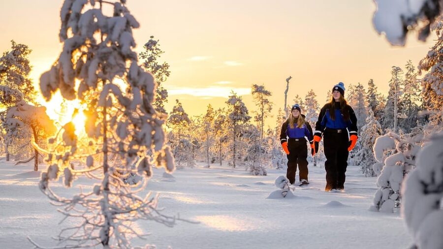 Kemi-Tornio: Nature tour with snowshoes - Where this tour starts in Kemi, and why it matters