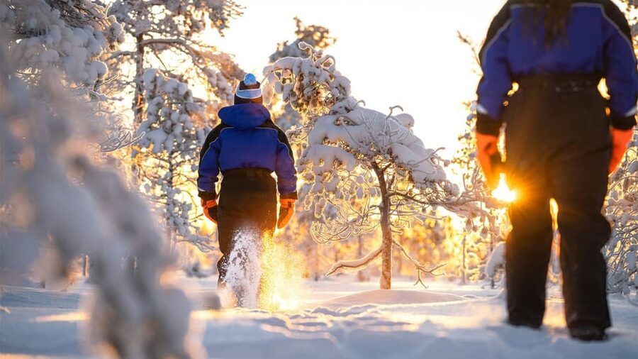 Kemi-Tornio: Nature tour with snowshoes - Snowshoes and your first steps into the wilderness