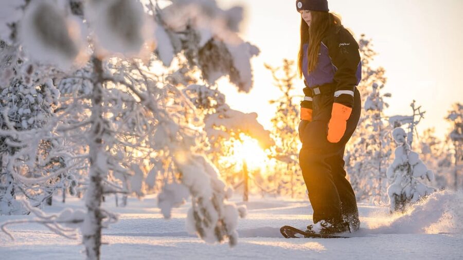 Kemi-Tornio: Nature tour with snowshoes - Getting dressed for the cold: what you really need to know