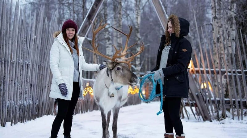 Kemi-Tornio: Reindeer farm experience - Sea Lapland Safaris Safari House and Getting Dressed Properly