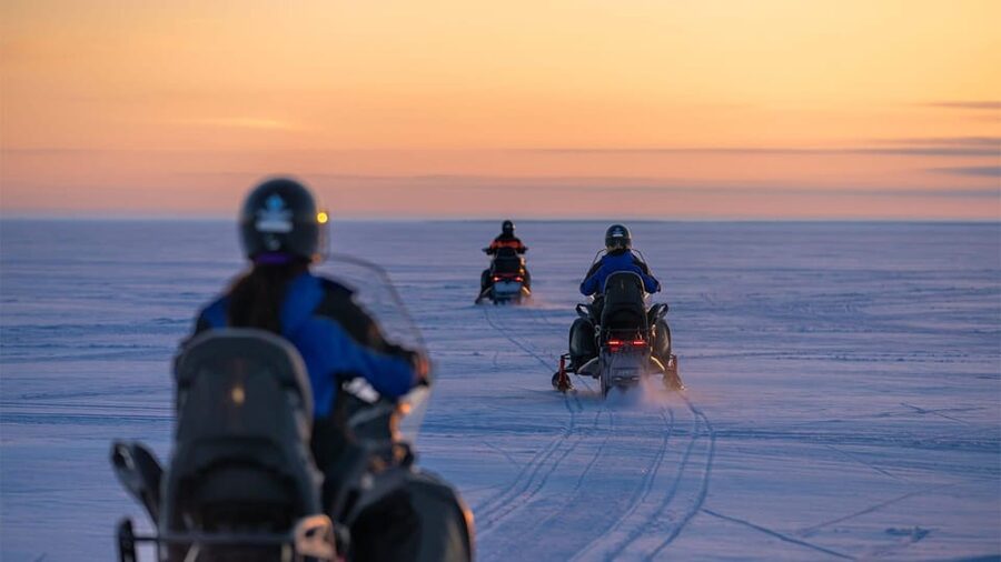 Kemi-Tornio: Snowmobile Forest Safari w/ Hot Drink & Snacks - Key highlights you will feel on the trip