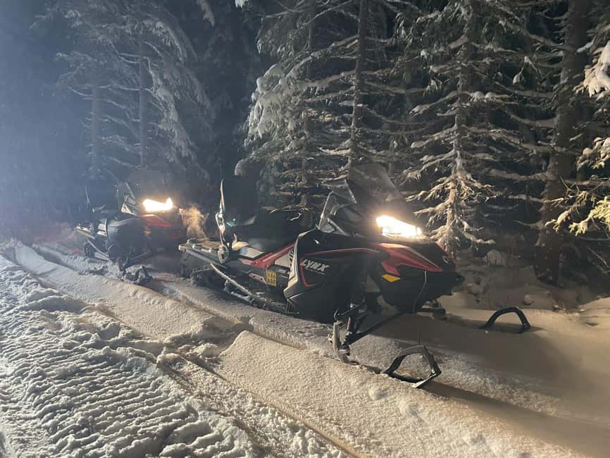 Kemi-Tornio: Snowmobile Safari Experience - Languages and tour guide support